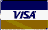 Visa card logo